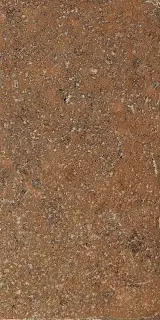 Керамическая плитка POMPOSA AMBRA 20X40