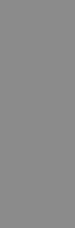 Керамическая плитка AIZA GREY POLISHED 800X2400X15mm