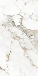 Керамическая плитка 60*120 CALACATTA BRISCO GLOSSY R