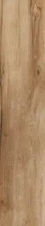 Керамическая плитка DRNG NUT 24x120