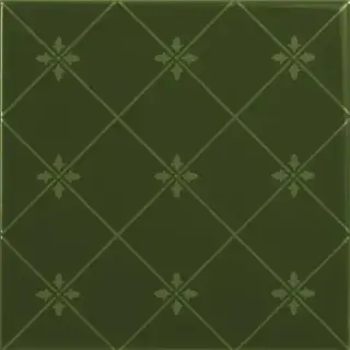Керамическая плитка DELIS VERDE BOTELLA 20X20