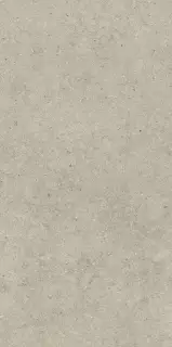 Italon Керамический гранит Forum Керамогранит Stone Desert 60x120 натуральный