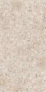 Treviso серая 60x120 ZZ