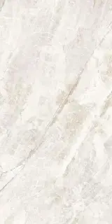 Reims светло-серая 60x120 ZZ