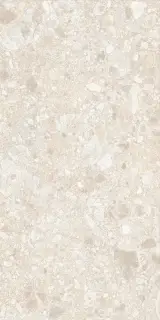 Dallas бежевая 60x120 ZZ