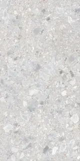 Dallas светло-серая 60x120 ZZ