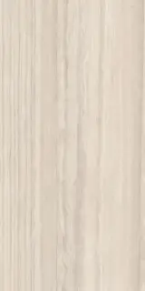 Travertino Silver Natural Plus (R10) 150x300