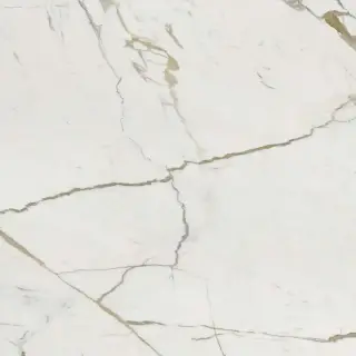 Vision Calacatta Oro   KL 120x120