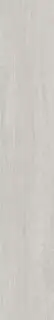 Bonsai Ash 20x120