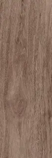 Baikal brown PG 02 20х60