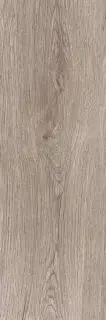Baltika grey PG 02  20х60