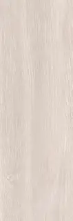 Baltika grey PG 01 20х60