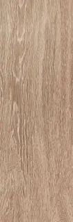 Baikal beige PG 01 20х60