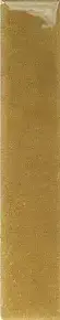 Dijon Gloss