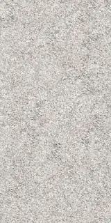 Brutus