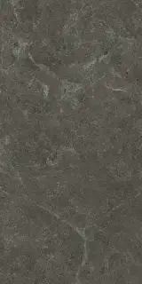 Charcoal Matte Sensitech 9 Mm