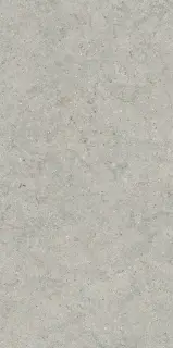 Italon Керамический гранит Forum Керамогранит Stone Silver 60x120 натуральный