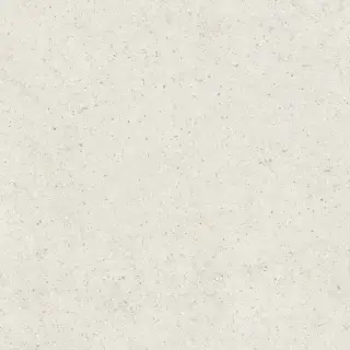 Italon Керамический гранит Forum Керамогранит Stone Polar 80x80 натуральный