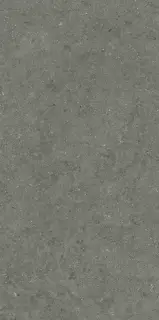 Italon Керамический гранит Forum Керамогранит Stone Iron 60x120 натуральный