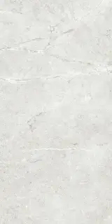 PALERMO GRIS  60X120X9 REC.