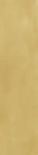 HARMONY SAMIRA GOLD 6х24.6 Q-45