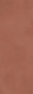 Calce Terracotta 3,5  XX 100x300