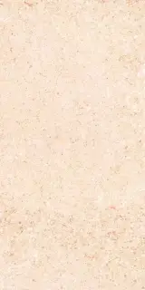 Shunut Beige G302/Шунут бежевый мат 60x120 XX