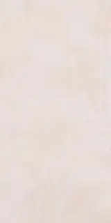 Paint Rose |60x120