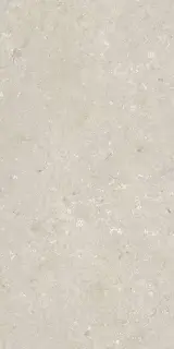 Shellstone Beige 60x120