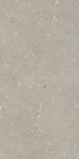 Shellstone Taupe 60x120