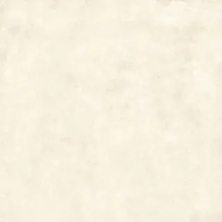 Gravity White XX 80x80