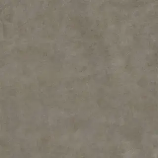 Gravity Grey XX 80x80