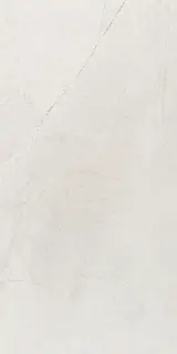 KENZO BLANCO MATE RECTIFICADO 60x120