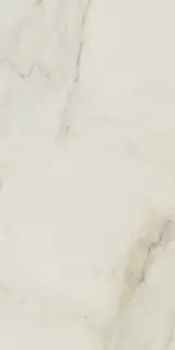 SUPREME MARBLE POL RECT 60X120