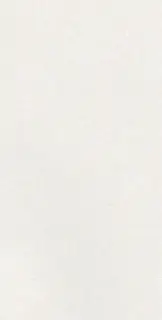 CAPRICE WHITE RECT 60X120