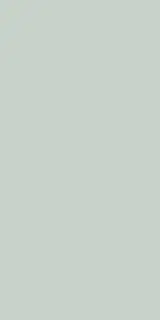 SIROS MENTA 60X120 REC.