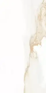 Керамогранит Камила золотой полированный ретифицированный / P.E. Pul. Camile gold rect. 60X120