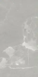 Керамогранит Дубай люкс серый / Pav. Dubai lux grey 60x120