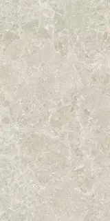 Керамогранит 3ДБ Харизма песочный матовый ретифицированный / P.E. 3DB Charisma sand mt 60X120 rect