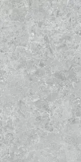 Керамогранит 3ДБ Харизма серый матовый ретифицированный / P.E. 3DB Charisma grey mt 60X120 rect
