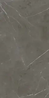 ABK Sensi 900 Керамогранит неглазурованный (UGL) Stone Grey 60x120 полированный