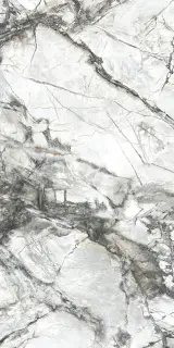 Dogma Project Antibacterial Керамогранит Invisible Solid Levigato 60x120 полированный
