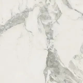 Coliseum Michelangelo Керамогранит Cold 60x60 натуральный