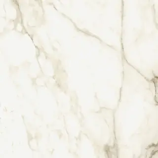 Coliseum Michelangelo Керамогранит Warm 60x60 натуральный