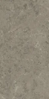 Atlas Concorde Marvel Meraviglia Керамогранит Grigio Elegante 60x120 лаппатированный