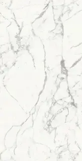 FLORIM-Luxury (Rex) Les Origines de Rex Керамогранит Blanc 60x120 полированный