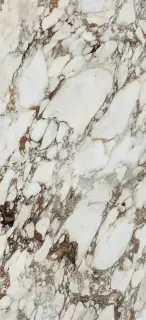 FLORIM-Luxury (Rex) Les Bijoux de Rex Керамогранит Breche Capraia 60x120 полированный