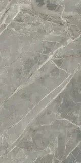 FLORIM-Luxury (Rex) Etoile De Rex Керамогранит Gris 60x120 глазурованный глянцевый