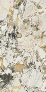 FLORIM-Luxury (Rex) Etoile De Rex Magnum Керамогранит Symphonie 60x120 натуральный