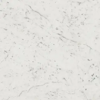 Italon Керамический гранит Charme Extra Floor Project Керамогранит Carrara 59x59 люкс